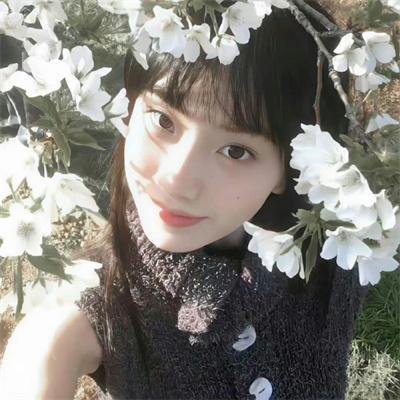 大家族粤语海报