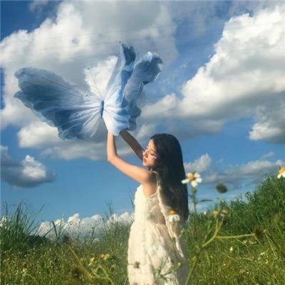 十二两的人生海报