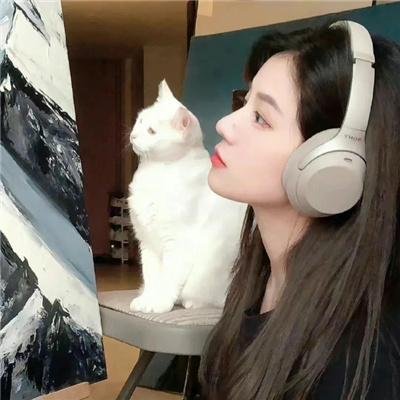 笑影歌声海报